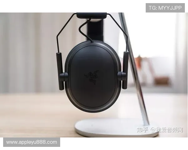 乐鱼电竞专业版官网全面解析最新版本功能与使用指南